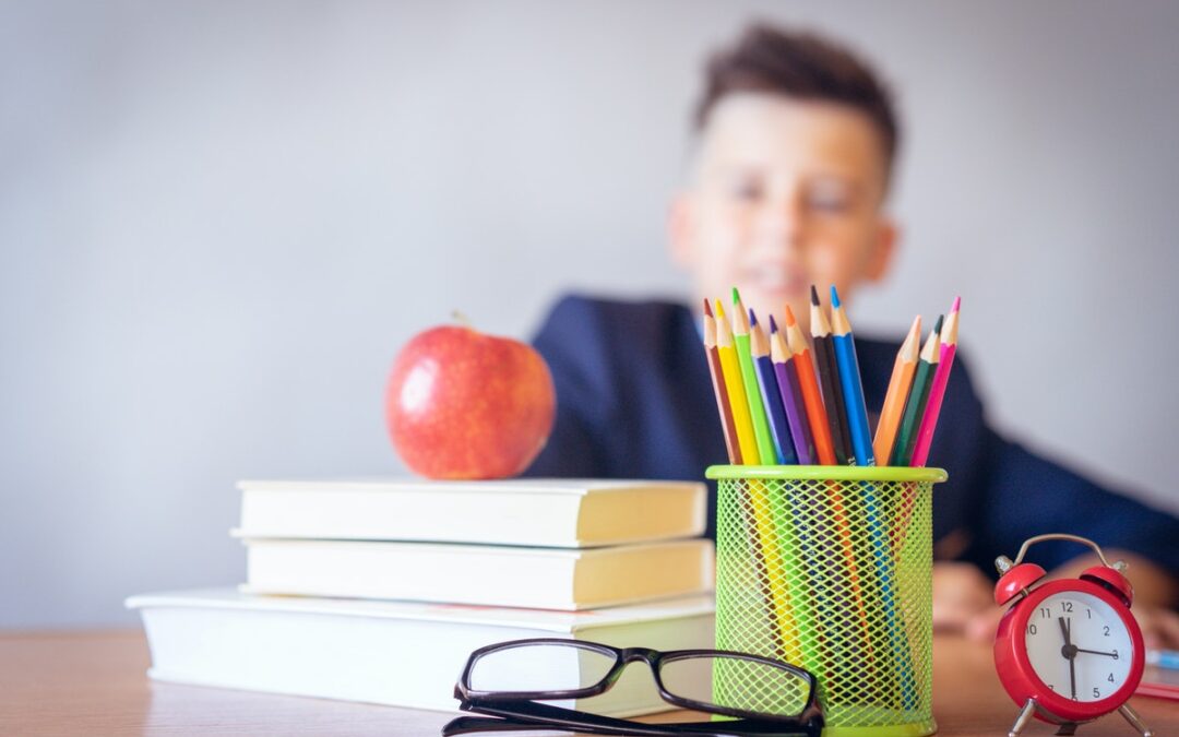 El impacto medioambiental y la educación