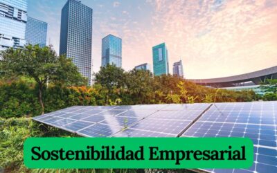 Sostenibilidad empresarial. Una moda con futuro