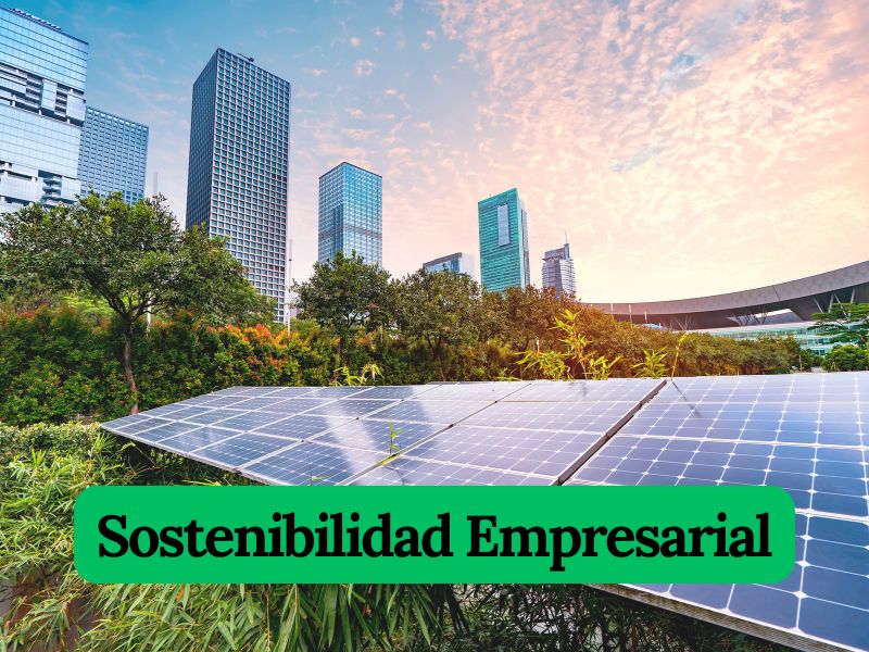 Sostenibilidad empresarial. Una moda con futuro