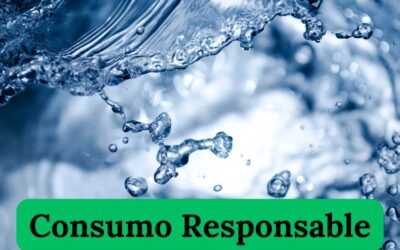 Consumo responsable del agua en la moda.