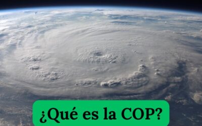 Cumbre Mundial del Clima. El futuro del planeta.