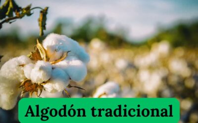 ¿El final de las prendas de algodón tradicional?